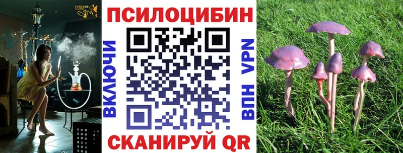 hydra вход  Канаш  Галлюциногенные грибы прущие грибы 